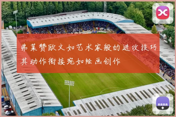 弗莱赞欧文如艺术家般的进攻技巧其动作衔接宛如绘画创作