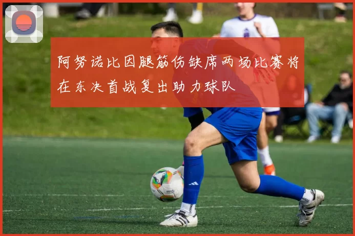 阿努诺比因腿筋伤缺席两场比赛将在东决首战复出助力球队